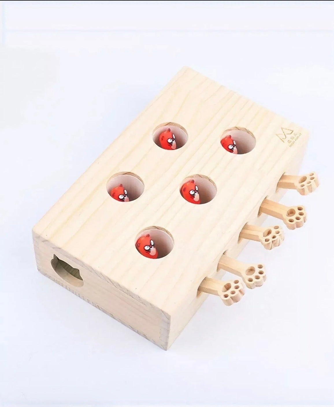 Why indoor cats actually use a wooden puzzle